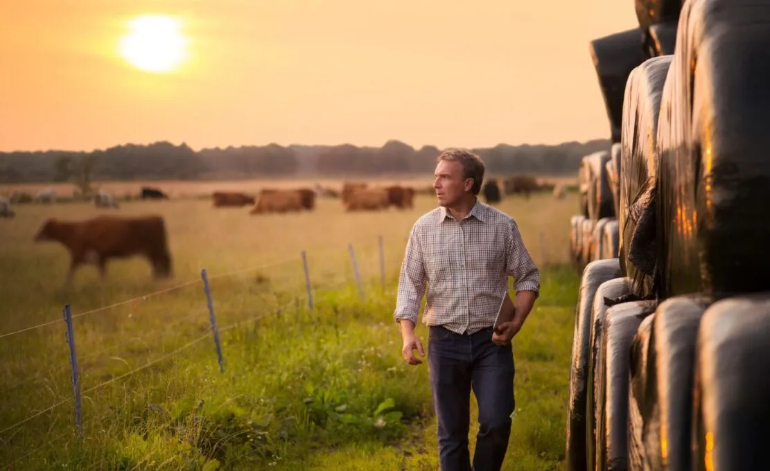 Expertise comptable secteur agricole