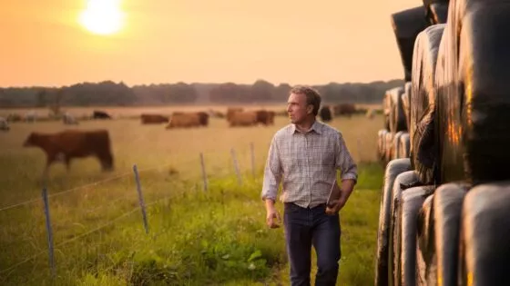 Expertise comptable secteur agricole