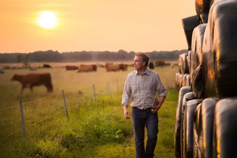 Expertise comptable secteur agricole