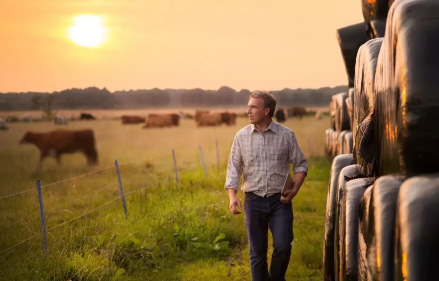 Expertise comptable secteur agricole