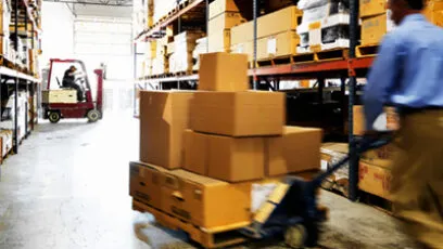 exportation
