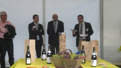 Agence Chinon