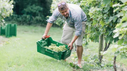pénibilité agriculture