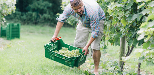 pénibilité agriculture