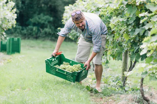 pénibilité agriculture