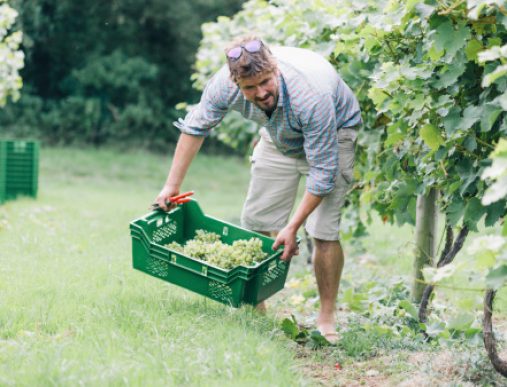 pénibilité agriculture