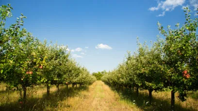 crédit d'impôt agriculture
