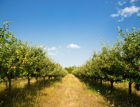 crédit d'impôt agriculture