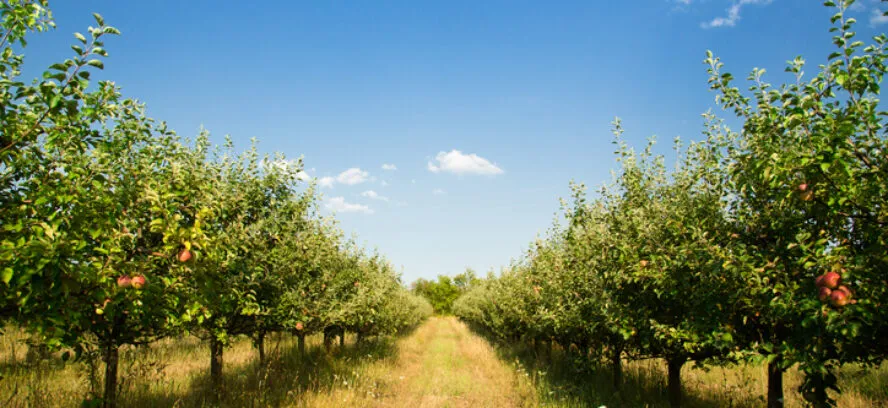 crédit d'impôt agriculture