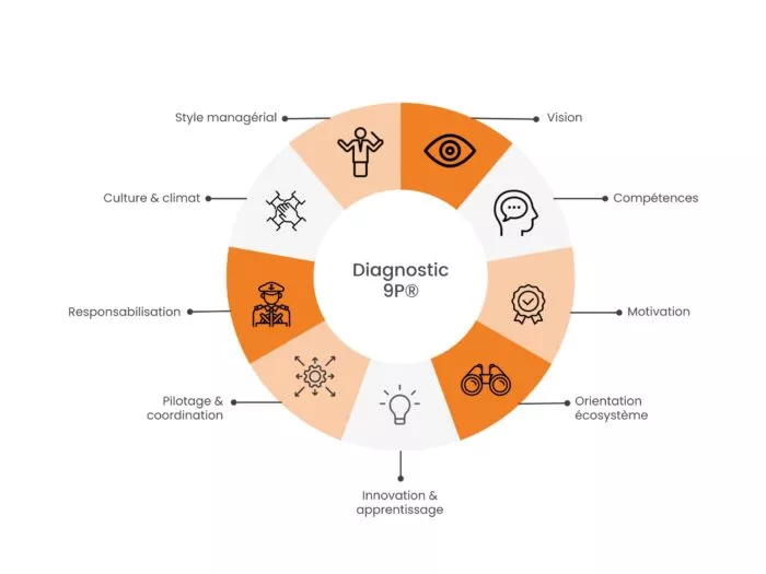 diagnostic-organisation