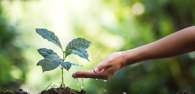 PSE paiement pour services agroenvironnementaux