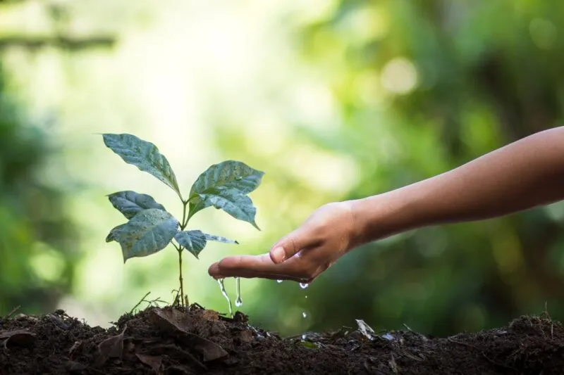 PSE paiement pour services agroenvironnementaux