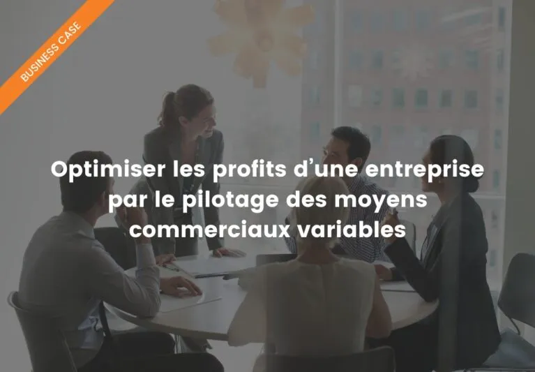Optimiser les profits d’une entreprise par le pilotage des moyens commerciaux variables