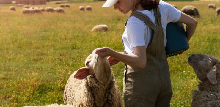 abaissement de taux TVA secteur agricole