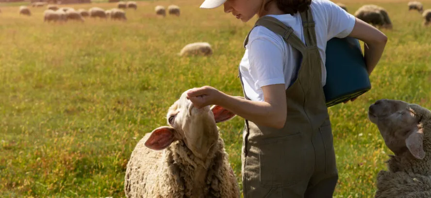abaissement de taux TVA secteur agricole