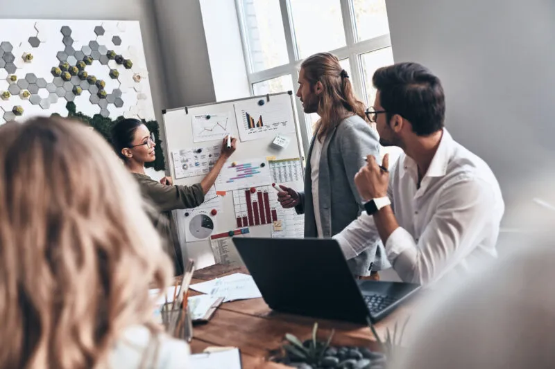 startup conseil