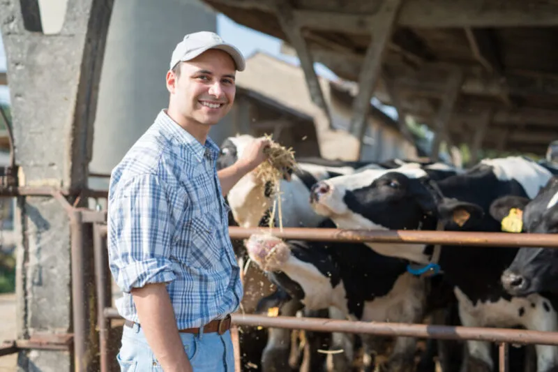 Fiscalité agricole 2024