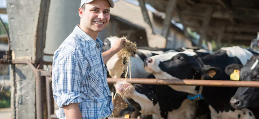 Fiscalité agricole 2024