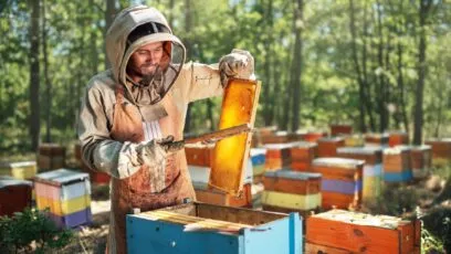 ESRS E4 : biodiversité et écosystèmes (CSRD épisode 6)