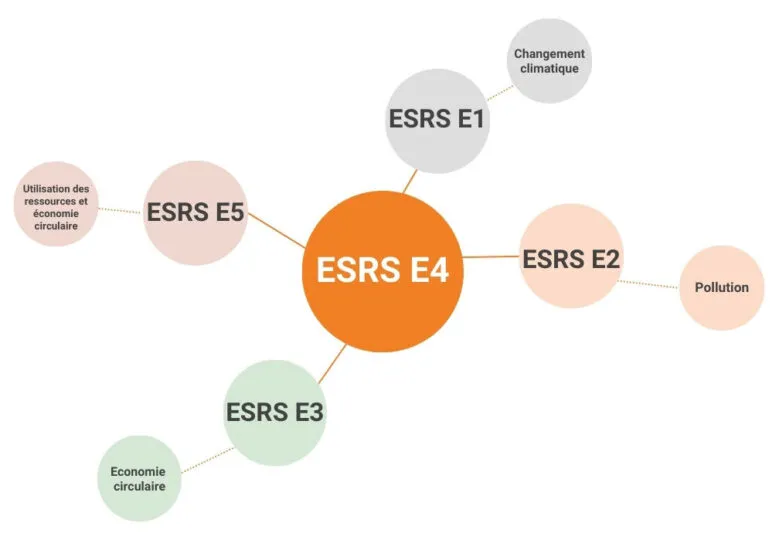 Normes CSRD ESRS