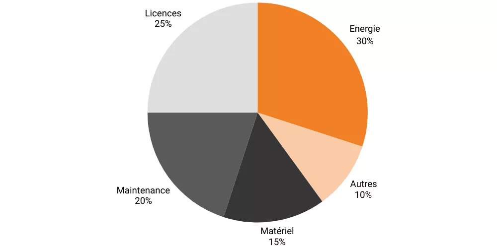 Répartition des coûts numériques dans les collectivités