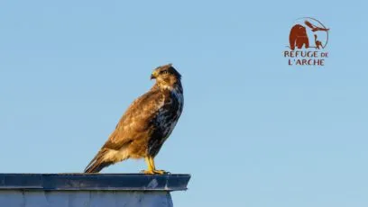 Le Refuge de l’Arche : TGS France s’engage pour la biodiversité en Mayenne