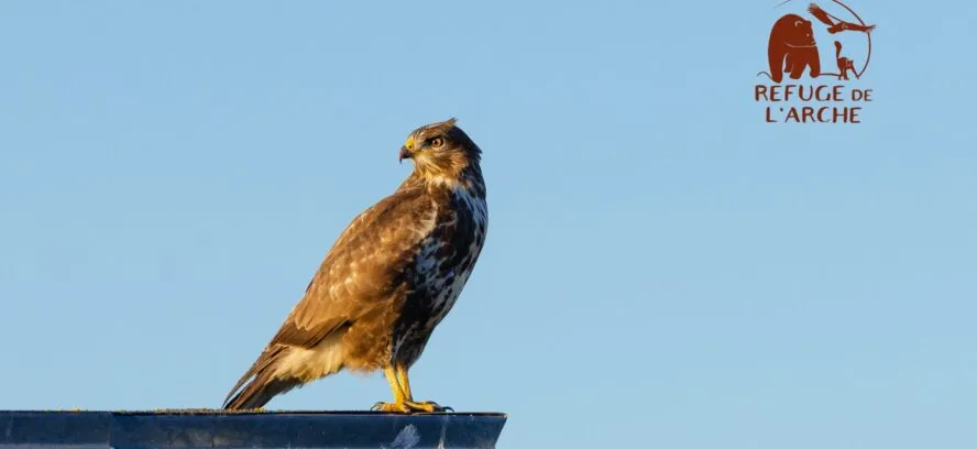 Le Refuge de l’Arche : TGS France s’engage pour la biodiversité en Mayenne
