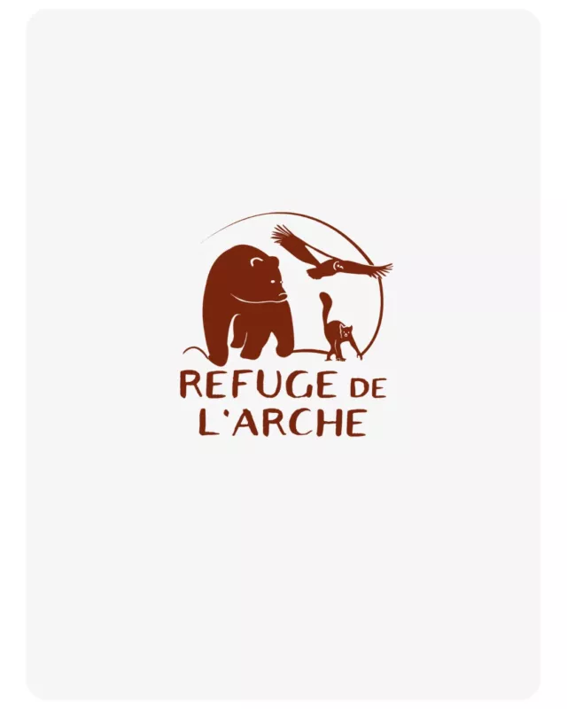 🌿 S’engager avec ses compétencesÀ l’occasion de l’inauguration du Club d’entreprises RSE « De la Main à la Patte » porté par le @lerefugedelarche de l’Arche en Mayenne, nos équipes se mobilisent pour un projet qui a du sens : la réouverture du centre de sauvegarde de la faune sauvage locale « Valentine et Jacques Perrin » 🦉Au-delà du soutien au projet, nos collaborateurs s’engagent aussi par le mécénat de compétences :🤝 Matthieu FOUQUERON, expert-comptable associé, a accompagné le refuge dans l’élaboration de son business plan.⚖️ Matthieu LE ROUX, juriste chez TGS France Avocats, a apporté son expertise pour la formalisation des documents juridiques.💡 @morgane__grollier a apporté son aide sur la partie marketing du Club d’entreprises RSE.Un bel exemple de ce que nous pouvons accomplir lorsque nos métiers se mettent au service d’un projet d’intérêt général.🙏 Merci à Jean-Marie Mulon, Manuel Doumeau et à toute l’équipe du @lerefugedelarche pour leur engagement quotidien en faveur de la biodiversité et de la sensibilisation du public🌱Chez TGS France, nous sommes fiers de voir nos collaborateurs contribuer concrètement à des projets qui ont un impact positif.#TGSFrance #MécénatDeCompétences #RSE #Biodiversité #Engagement #MarqueEmployeur